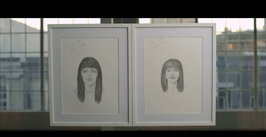 Dove Real Beauty Sketches